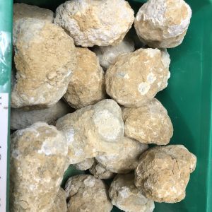 80mm - 100mm Unopened Geodes Available in Shop only