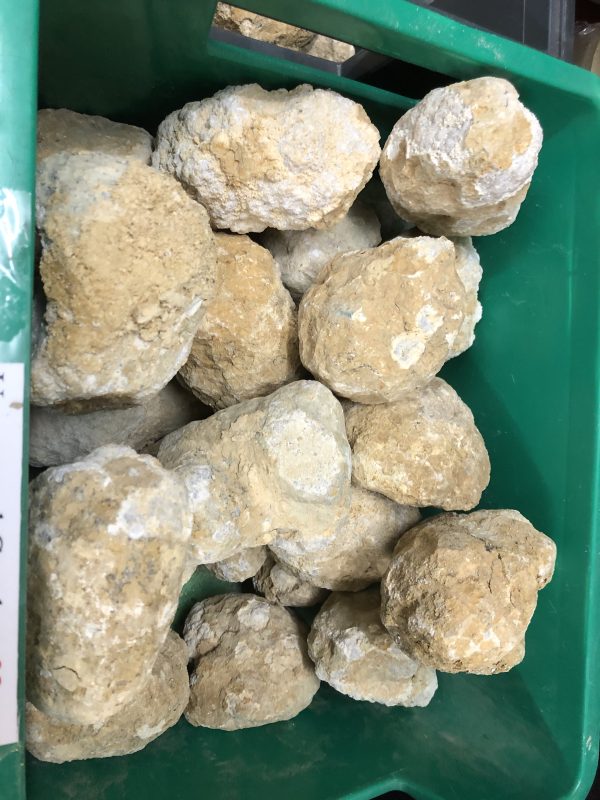 80mm - 100mm Unopened Geodes Available in Shop only